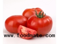 Tomato Powder