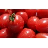 Tomato Extract (Lycopene)