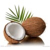 100% natural Coconut extract