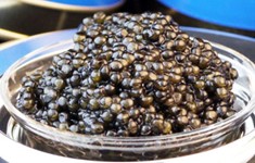 Caviar 