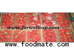Fresh Strewberry