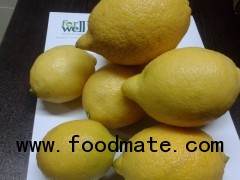 Fresh Lemon ( Yellow Adalia )  )