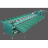 Double Line Fruit Sorting Machine