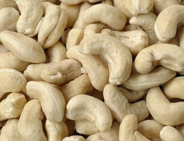 cashew