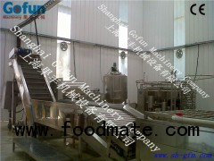 Fruit juice or paste production complete line