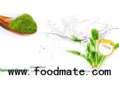 Quality 100% Pure Organic Spinach Powder Rich Nutrition Food Colouring