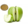  Pure Quality Apple Powder for Cooking Baking Dessert