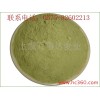 Pure& Unrefined Farm Fresh Kale Vegetable Powder China Origin