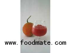 Gac fruit Puree