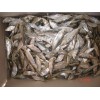 dried herring fish