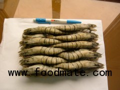 frozen black tiger shrimp