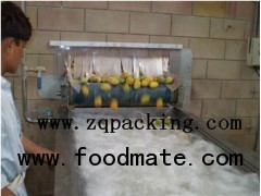 Automatic Tropic Fruit Pineapple,manog juice Processing Line/machine/equipment /plant