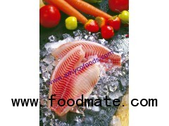 Tilapia Fillet High quality