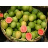 Pink guava Puree