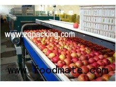 Fruit Paste ,Fruit sauce making machine ,Fruit paste processing line ,Furit sauce production line