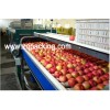 Fruit Paste ,Fruit sauce making machine ,Fruit paste processing line ,Furit sauce production line