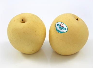 Asian pear