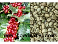 Arabica and Robusta Coffee Beans