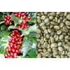 Arabica and Robusta Coffee Beans