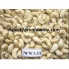 Cashew Nut Kernels - First Grade WW240, WW320, WW450