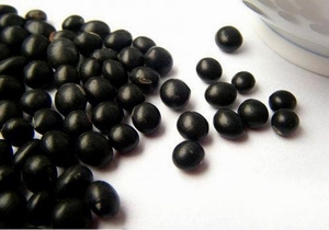 Black soy