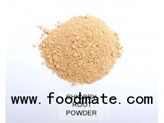 Pure Chicory Root Powder Low Price Long Term Supplier