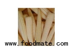 Baby corn (young corn spear)