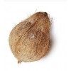 Fresh De Husked Coconut