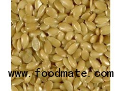 Flax Seed
