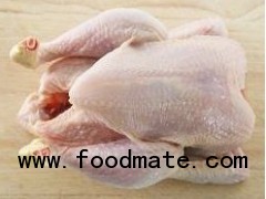 Halal and Non Halal Whole Chicken and Chicken Parts