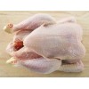 Halal and Non Halal Whole Chicken and Chicken Parts