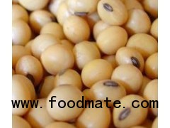 Soya Beans, White Kidney Beans, Red Beans, Black Beans and Mung Beans for Sale