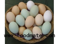 Egg Products