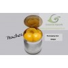 Canned Food	 Peaches