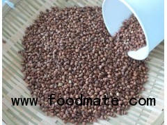 2013 new crop roasted buckwheat kernel