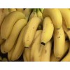 Fresh Banana