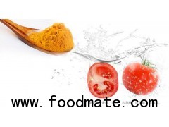 Grade A 100% Purity Organic Tomato powder Spice Certified Factory