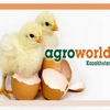 AgroWorld Kazakhstan 2013