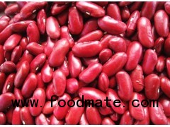 Red Kidney Beans