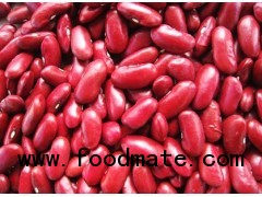 Red Kidney Beans