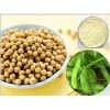 Soybean Extract- Isoflavones