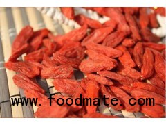 Goji berry