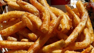 fries