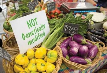 Genetically modified crops