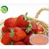 strawberry fruit juice powder