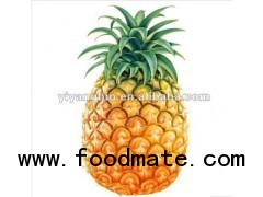 good quality pineapple fruit juice powder