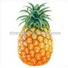 good quality pineapple fruit juice powder