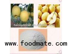 Pear fruit juice powder maker