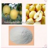 Pear fruit juice powder maker