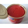 china manufacturer of tomato paste canned in tins